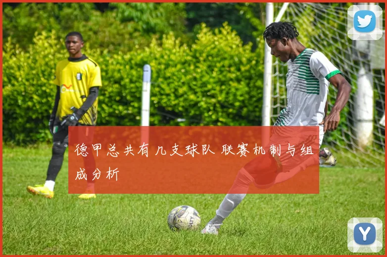德甲总共有几支球队 联赛机制与组成分析