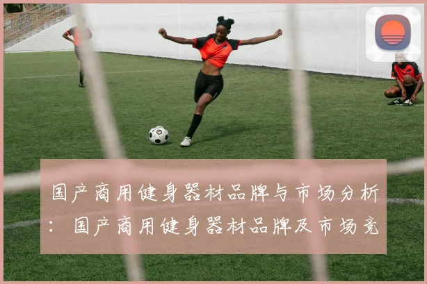 国产商用健身器材品牌与市场分析：国产商用健身器材品牌及市场竞争力分析