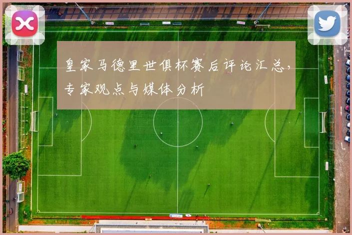 皇家马德里世俱杯赛后评论汇总，专家观点与媒体分析