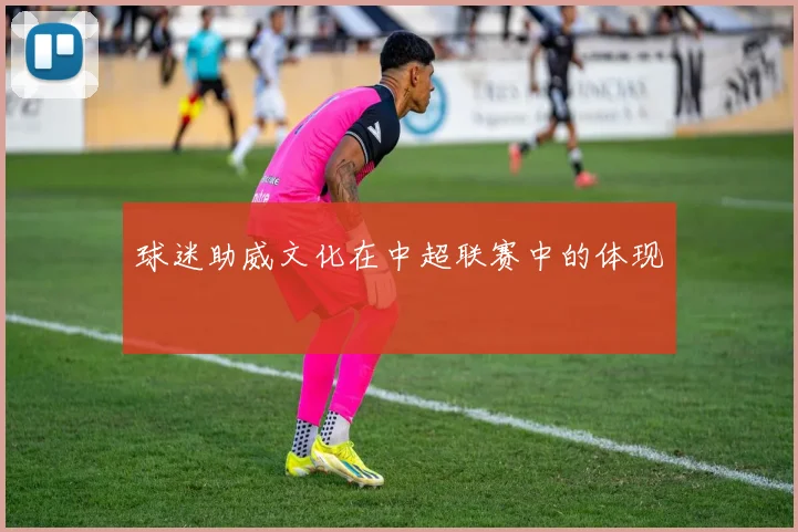 球迷助威文化在中超联赛中的体现